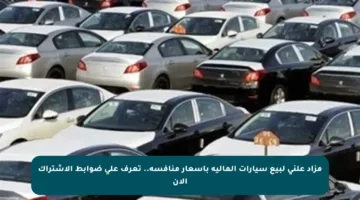 مزاد علني لبيع سيارات المالية بأسعار منافسة.. تعرف على ضوابط الاشتراك الآن